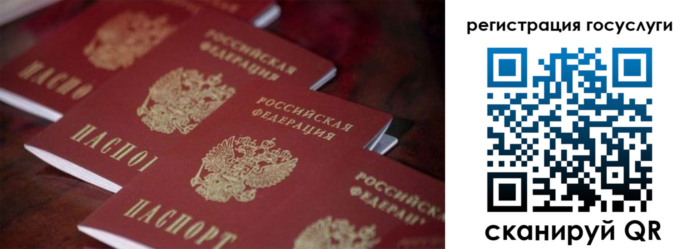 где прописаться в Таганроге
